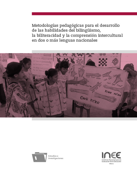 Metodologías pedagógicas para el desarrollo de las habilidades del bilingüismo la biliteracidad y la comprensión intercultural en dos o más lenguas nacionales