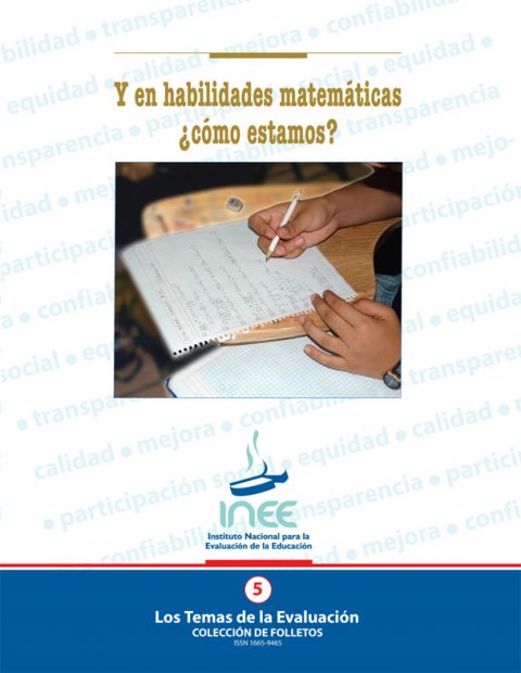 Y en habilidades matemáticas ¿cómo estamos? No. 5