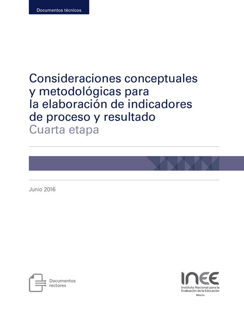 Consideraciones conceptuales y metodológicas para la elaboración de indicadores de proceso y resultado. Cuarta etapa